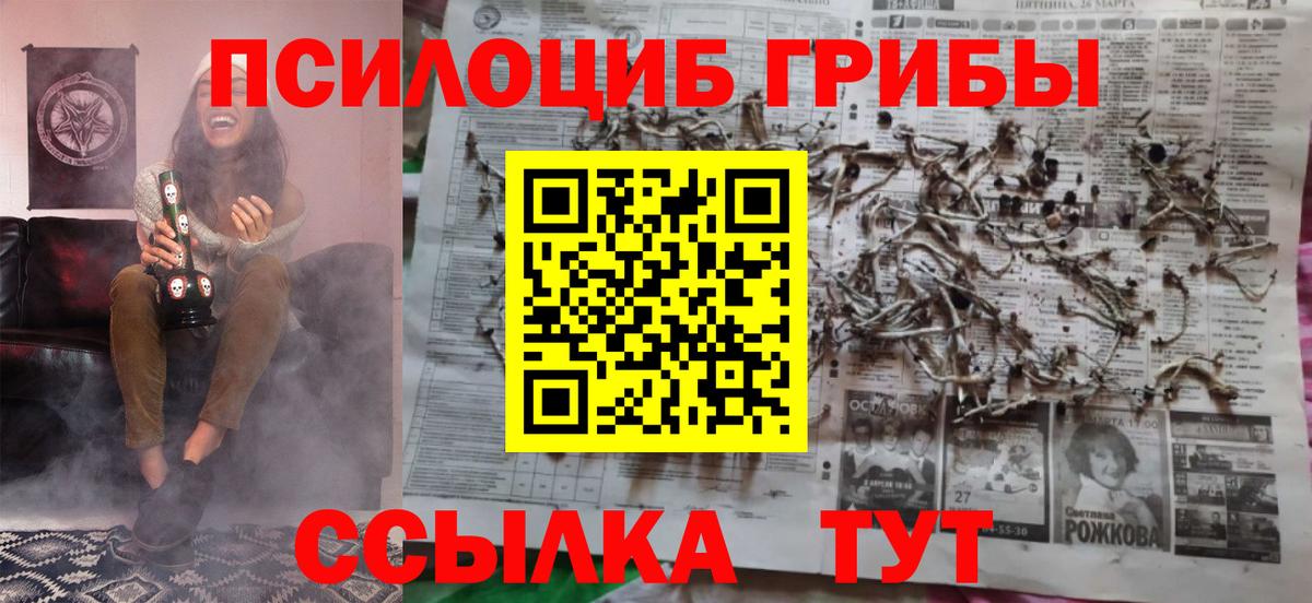 Тобольск  Галлюциногенные грибы прущие грибы  Вход с VPN 