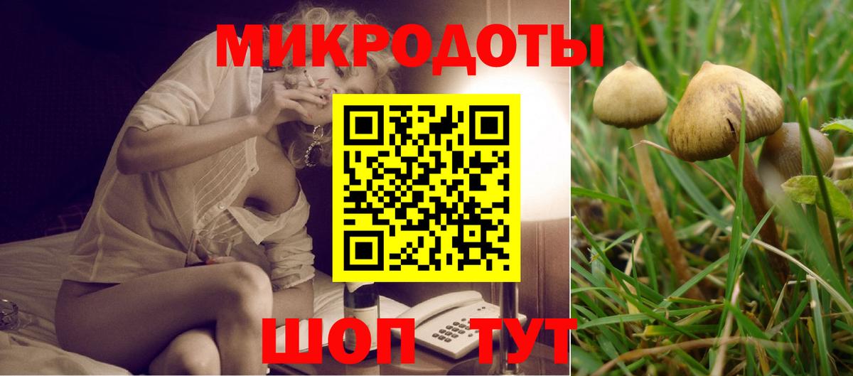 Галлюциногенные грибы Cubensis Тобольск